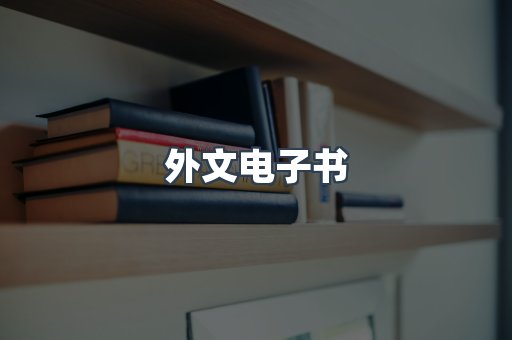 外文电子书